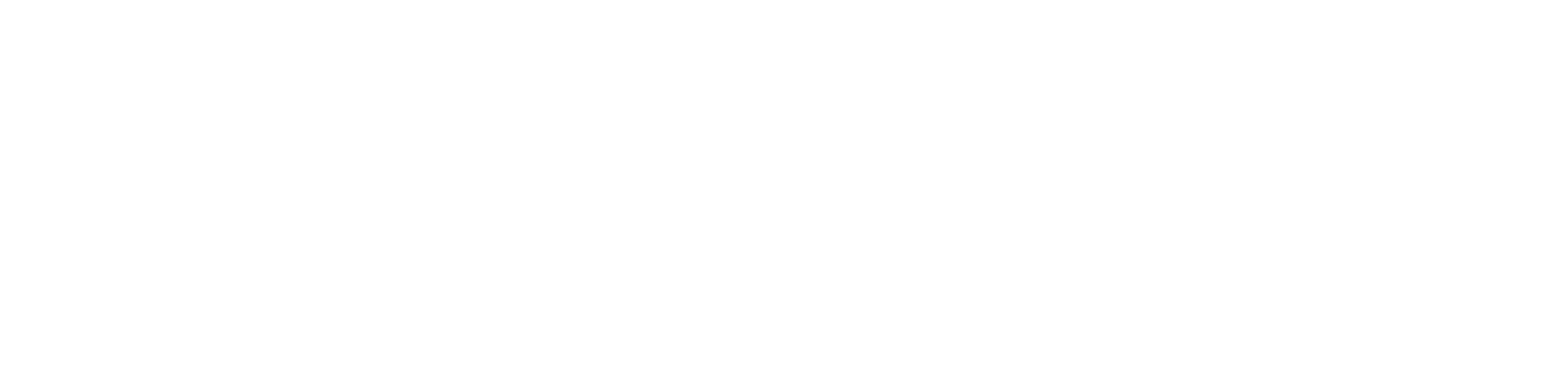 Lübecker Wachunternehmen
